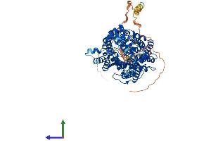 Protein Structure (PS) image for Glycine Transporter 1 (GLYT1) (AA 1-692) protein (His tag) (ABIN7563050)