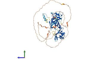 Protein Structure (PS) image for Cytoplasmic Polyadenylation Element Binding Protein 1 (CPEB1) (AA 1-561) protein (His tag) (ABIN7563510)