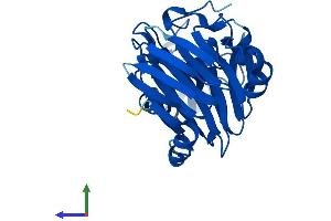 Protein Structure (PS) image for 3-hydroxyanthranilate 3,4-Dioxygenase (HAAO) (AA 1-286) protein (His tag) (ABIN7551774)