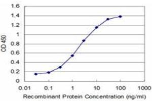 Detection limit for recombinant GST tagged PIAS1 is approximately 0. (PIAS1 抗体  (AA 543-651))