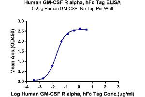 ELISA image for Colony Stimulating Factor 2 Receptor, Alpha, Low-Affinity (Granulocyte-Macrophage) (CSF2RA) (AA 23-320) protein (Fc Tag) (ABIN7274782)