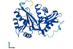 AlphaFold protein structure predicition of Human Recombinant GLYATL3 Protein, UniprotID Q5SZD4 (GLYATL3 Protein (AA 1-288) (His tag))