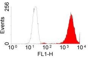 Flow Cytometry (FACS) image for anti-Epidermal Growth Factor Receptor (EGFR) (Extracellular Domain) antibody (ABIN211610) (EGFR 抗体  (Extracellular Domain))