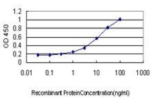 Detection limit for recombinant GST tagged ICA1 is approximately 0. (ICA1 抗体  (AA 1-110))