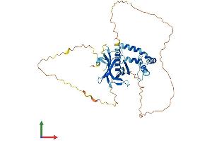 AlphaFold protein structure predicition of Mouse Recombinant Spred2 Protein, UniprotID Q924S7