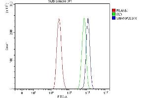 Flow Cytometry analysis of A431 cells using anti-SNRNP200 antibody (ABIN7602032). (SNRNP200 抗体  (AA 557-2129))