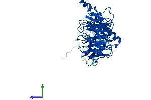 Protein Structure (PS) image for Guanine Nucleotide Binding Protein (G Protein), beta 5 (GNB5) (AA 1-395) protein (His tag) (ABIN7556624)