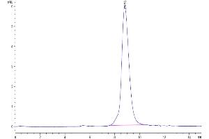 The purity of Cynomolgus GPA is greater than 95 % as determined by SEC-HPLC.