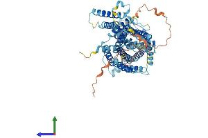 AlphaFold protein structure predicition of Human Recombinant SLC7A4 Protein, UniprotID O43246 (SLC7A4 Protein (AA 1-635) (His tag))