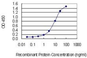 Detection limit for recombinant GST tagged C7orf16 is 0. (G Substrate 抗体  (AA 1-99))
