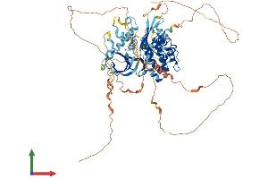 Protein Structure (PS) image for BR Serine/threonine Kinase 1 (BRSK1) (AA 1-778) protein (His tag) (ABIN7552884)