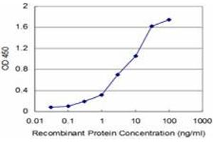 Detection limit for recombinant GST tagged USP9X is approximately 0. (USP9X 抗体  (AA 1-90))