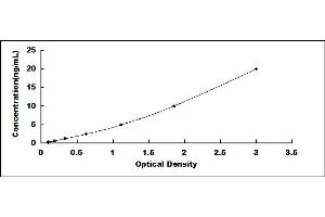 Typical standard curve (KARS ELISA 试剂盒)