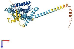 Olfactory Receptor 2B2 (OR2B2) (AA 1-357) protein (His tag)