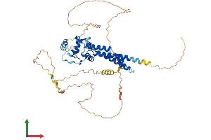 Protein Structure (PS) image for Transcription Factor AP-2 beta (Activating Enhancer Binding Protein 2 Beta) (TFAP2B) (AA 1-459) protein (His tag) (ABIN7557690)