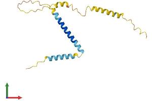 AlphaFold protein structure predicition of Human Recombinant EVA1A Protein, UniprotID Q9H8M9