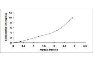ELISA image for Tumor Necrosis Factor Receptor Superfamily, Member 11b (TNFRSF11B) ELISA Kit (ABIN414114)