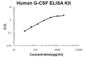 Human G-CSF PicoKine ELISA Kit standard curve (G-CSF ELISA 试剂盒)