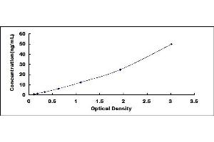 Typical standard curve (FCAR ELISA 试剂盒)