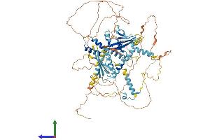 Protein Structure (PS) image for Suppressor of Ty 20 Homolog (SUPT20H) (AA 1-779) protein (His tag) (ABIN7555546)