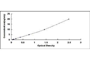 Typical standard curve (ESRRA ELISA 试剂盒)