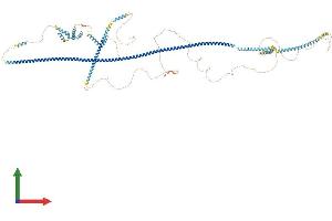 Protein Structure (PS) image for Oral-Facial-Digital Syndrome 1 (OFD1) (AA 1-1017) protein (His tag) (ABIN7564304)