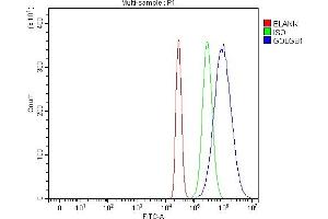 Flow Cytometry analysis of HepG2 cells using anti-Giantin/GOLGB1 antibody (ABIN7600139).