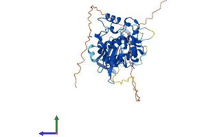AlphaFold protein structure predicition of Human Recombinant STK17B Protein, UniprotID O94768