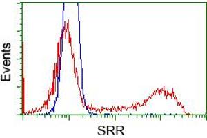 Flow Cytometry (FACS) image for anti-Serine Racemase (SRR) antibody (ABIN1501134) (SRR 抗体)