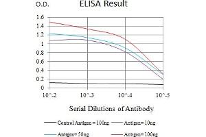 Black line: Control Antigen (100 ng),Purple line: Antigen (10 ng), Blue line: Antigen (50 ng), Red line:Antigen (100 ng) (Ataxin 1 抗体  (AA 645-815))