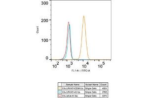 Flow cytometry: Jurkat cells were stained with Rabbit IgG isotype control (, 10 μg/mL, blue line) or CD3H Rabbit mAb (ABIN7266174, 10 μg/mL orange line), followed by goat anti-Rabbit pAb FITC (1:200 dilution) staining. (CD247 抗体)