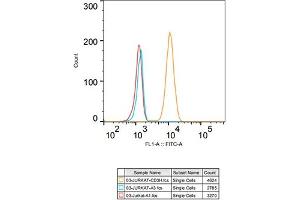 Flow cytometry: Jurkat cells were stained with Rabbit IgG isotype control (, 10 μg/mL, blue line) or CD3H Rabbit mAb (ABIN7266174, 10 μg/mL orange line), followed by goat anti-Rabbit pAb FITC (1:200 dilution) staining.
