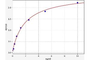 Typical standard curve (S100A1 ELISA 试剂盒)