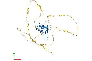 Protein Structure (PS) image for Forkhead Box E3 (FOXE3) (AA 1-319) protein (His tag) (ABIN7547744)