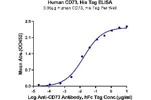 ELISA image for 5'-Nucleotidase, Ecto (CD73) (NT5E) (AA 27-547) protein (His tag) (ABIN7274221)