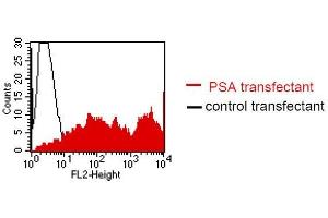 FACS analysis of BOSC23 cells using LT-3D2. (Prostate Specific Antigen 抗体)