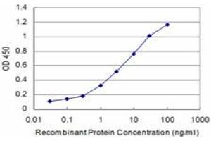 Detection limit for recombinant GST tagged RCV1 is approximately 0. (Recoverin 抗体  (AA 101-199))