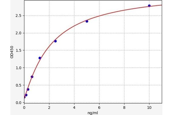 Angiopoietin 4 ELISA 试剂盒