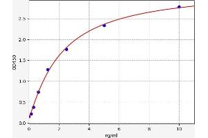 Typical standard curve (Angiopoietin 4 ELISA 试剂盒)