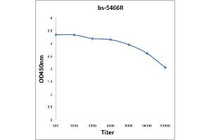 Antigen: 0. (JunD 抗体  (pSer255))