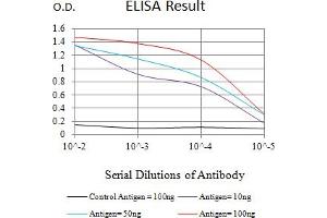 Black line: Control Antigen (100 ng),Purple line: Antigen (10 ng), Blue line: Antigen (50 ng), Red line:Antigen (100 ng) (Tumor Suppressor ARF (CDKN2A) (AA 1-156) 抗体)
