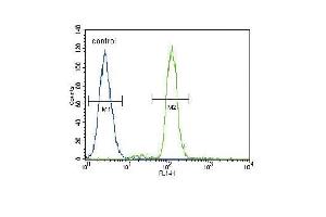 CD14 Antibody (C-term) (ABIN390261 and ABIN2840719) flow cytometric analysis of A549 cells (right histogram) compared to a negative control cell (left histogram). (CD14 抗体  (C-Term))