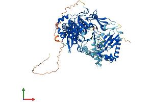 Protein Structure (PS) image for Acyl-CoA Synthetase Bubblegum Family Member 1 (ACSBG1) (AA 1-721) protein (His tag) (ABIN7564928)