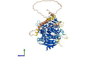 Protein Structure (PS) image for Digestive Organ Expansion Factor Homolog (DIEXF) (AA 1-756) protein (His tag) (ABIN7547074)