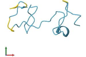 Protein Structure (PS) image for Metallothionein 1H (MT1H) (AA 1-61) protein (Fc Tag) (ABIN7549575)