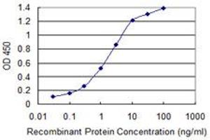 Detection limit for recombinant GST tagged TBL1XR1 is 0. (TBL1XR1 抗体  (AA 81-178))