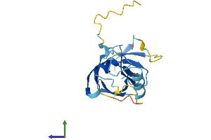 Protein Structure (PS) image for Endogenous Retrovirus Group K, Member 8 (ERVK-8) (AA 1-156) protein (His tag) (ABIN7545138)