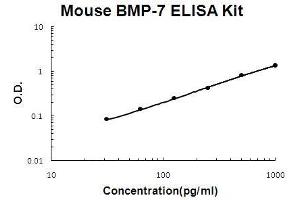 Mouse BMP-7 PicoKine ELISA Kit standard curve (BMP7 ELISA 试剂盒)