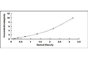 Typical standard curve (SERPINA12 ELISA 试剂盒)