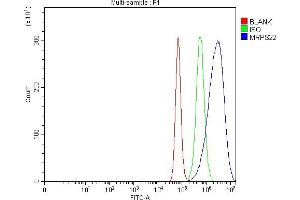 Flow Cytometry analysis of Hela cells using anti-MRPS22 antibody (ABIN7600613). (MRPS22 抗体  (AA 21-329))